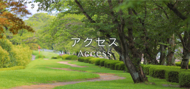 アクセス